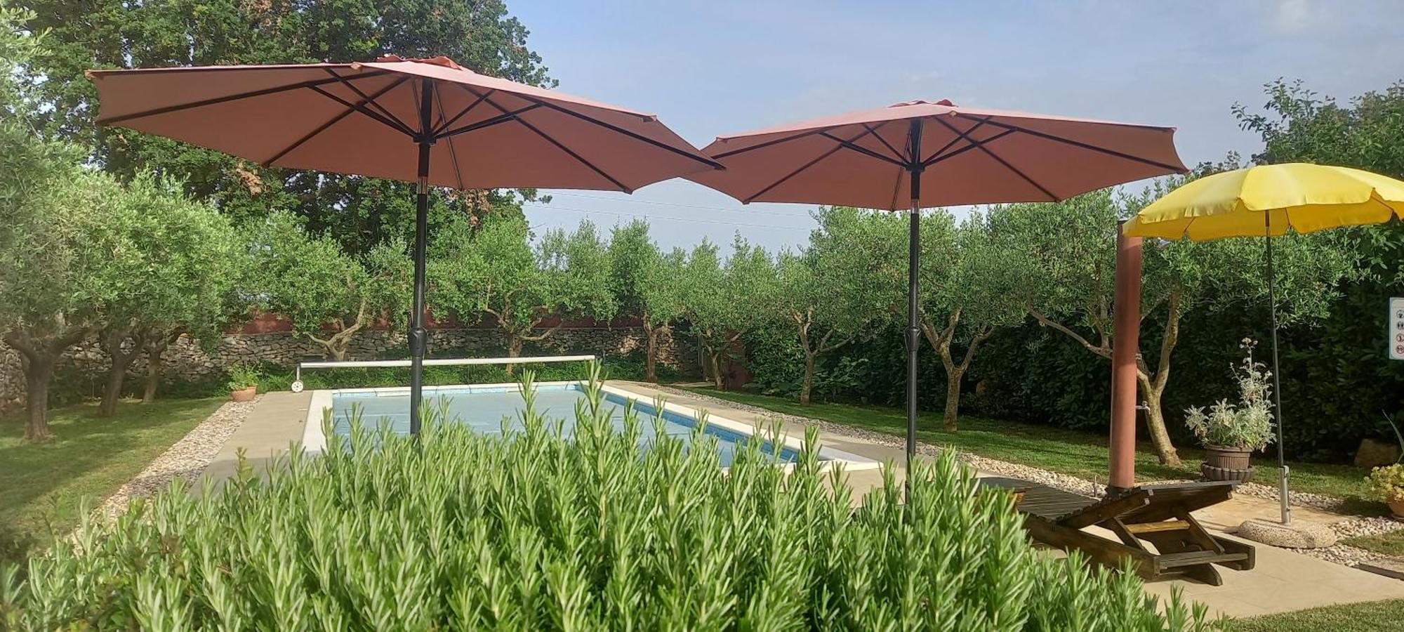 Villa Mala Kuca Sa Velikim Grijanim Bazenom Antonio à Šišan Extérieur photo